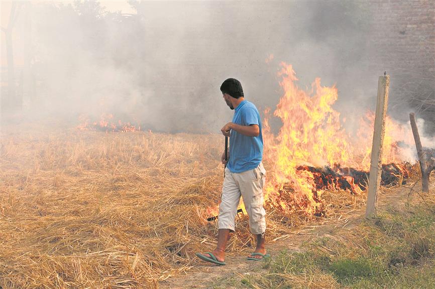 SC relief fails to douse farm fires, 6K reported since Nov 6