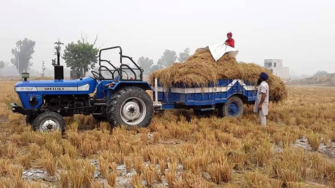Setting example: Man, daughter use stubble as fodder for livestock