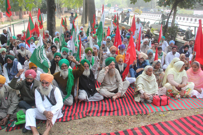 Farmer unions hold protest, demand withdrawal of stubble burning cases