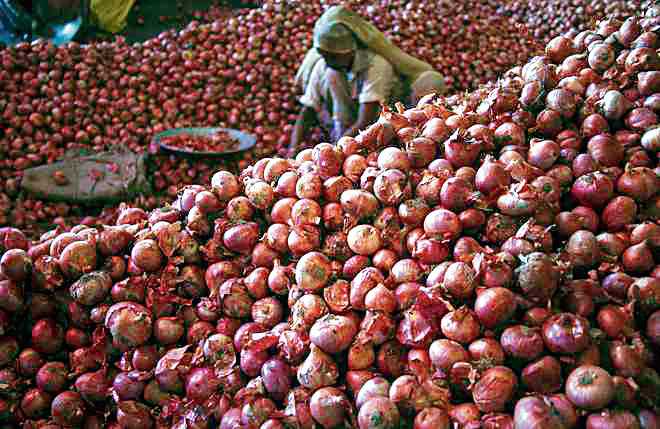 Increasing onion prices send house makers in a tizzy