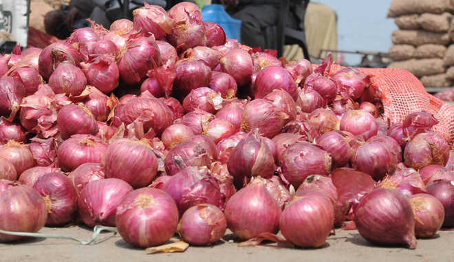 Fresh supplies bring down onion prices