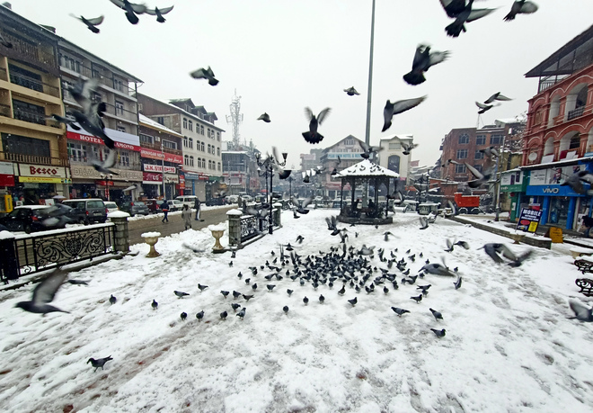 Kashmir cut off as snow shuts highway