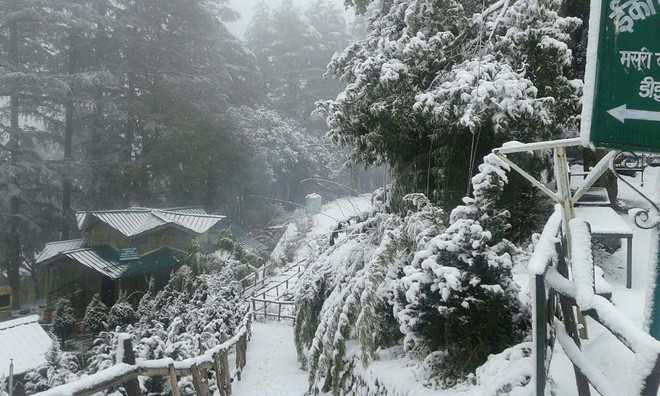 Nainital, Mussoorie get first snowfall of season