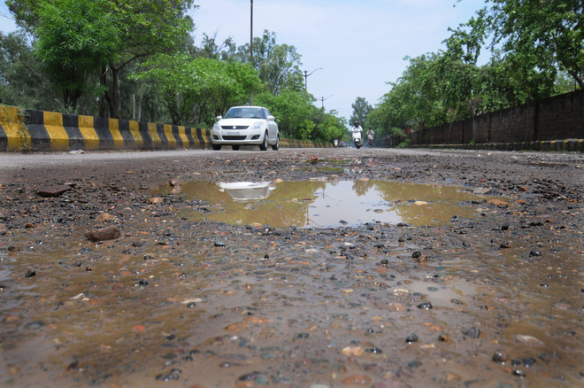 Tattered Guru Nanak Pura road trouble for motorists