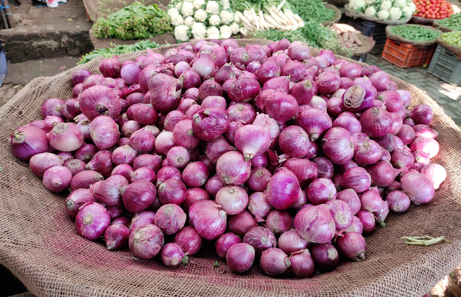 At Rs80/kg, onion prices hit the roof