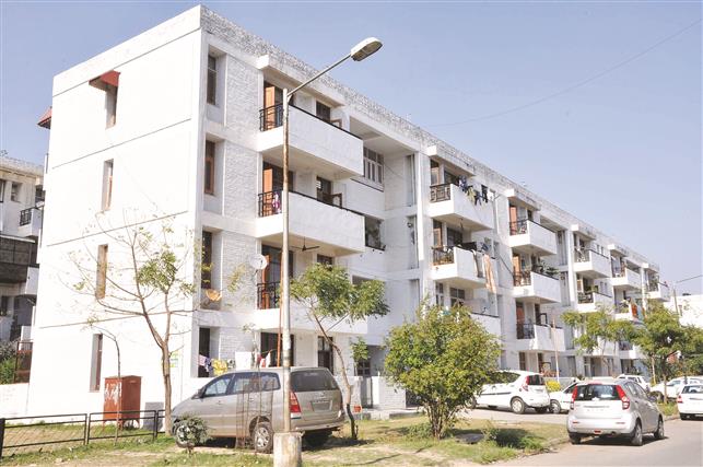 Chandigarh allows transfer of residential properties