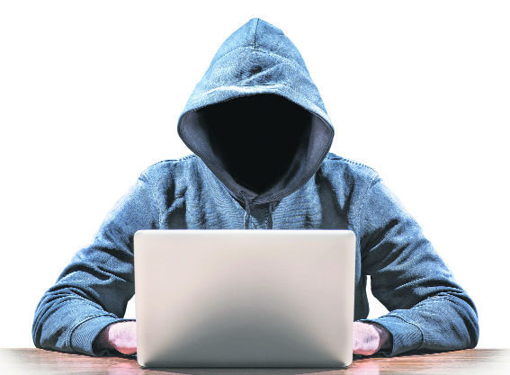 Cyber crime net widens