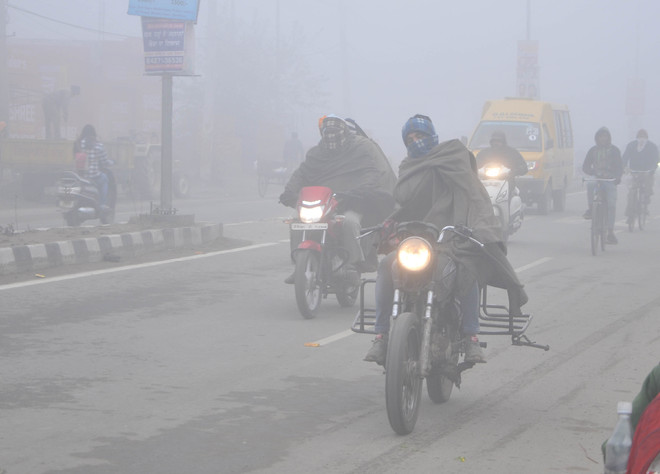 Dense fog hampers traffic in Punjab, Haryana