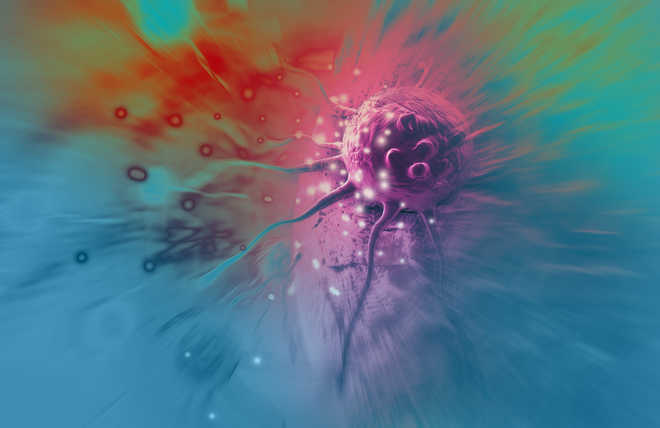 New T-cells offer ‘one-size-fits-all’ cancer therapy