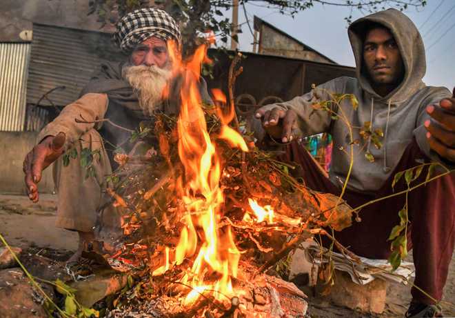 Biting cold in Punjab, Haryana; Chandigarh records its temperature at 4.8° C