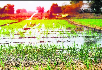 Atal Bhujal Yojana aims to arrest groundwater depletion