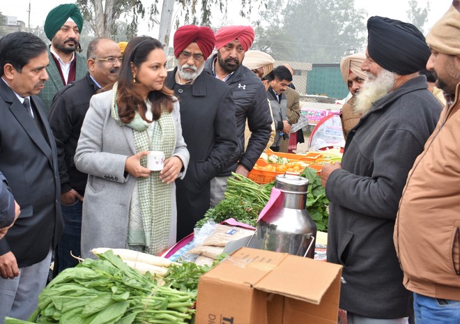 Administration comes up with safe food market in Hoshiarpur