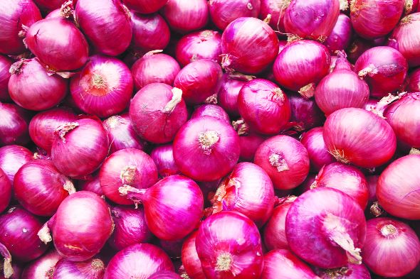 Onion prices down, but yet to stabilise