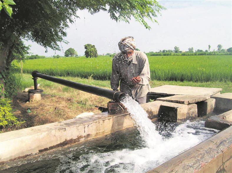 Delay paddy sowing, meet water demand for 3.5 years: Panel