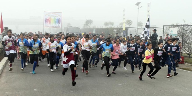 250 take part in mini-marathon