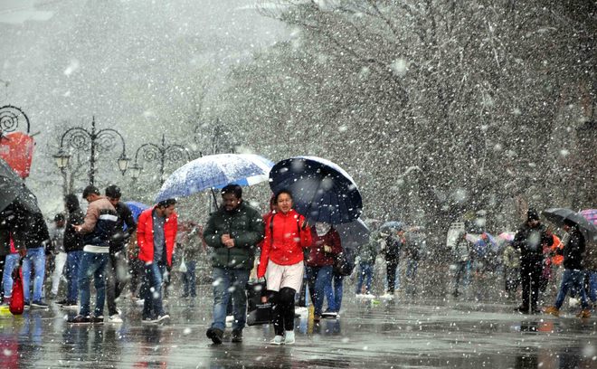 Shimla, Kufri witness fresh snowfall
