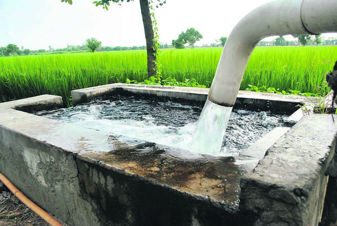 Groundwater overexploited in Haryana in 60% blocks