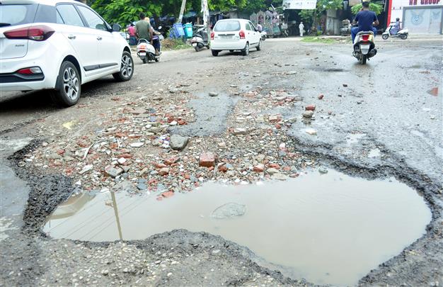 Beant Singh roundabout road cries for attention
