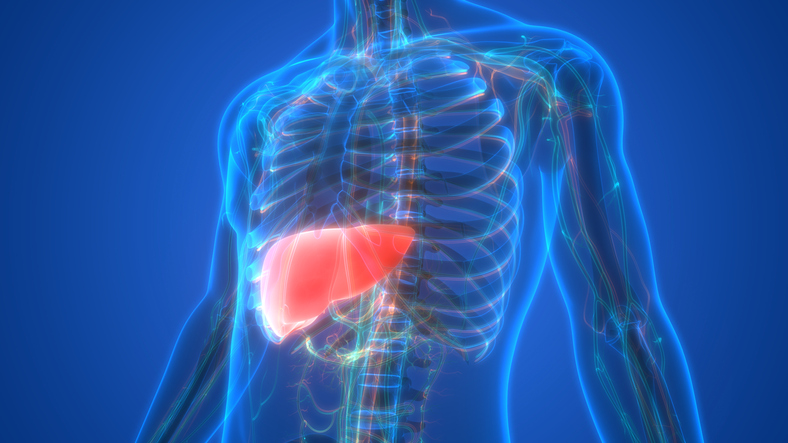 Even mild fatty liver disease may up death risk