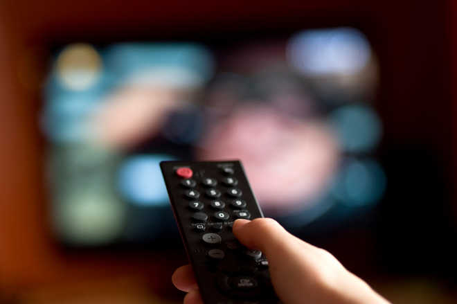 Watching nature on TV can boost well-being