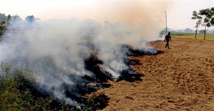 Stubble burning share in Delhi’s pollution rise to 36 per cent: SAFAR