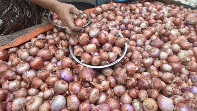 Pawar blames Centre’s policies for soaring onion prices