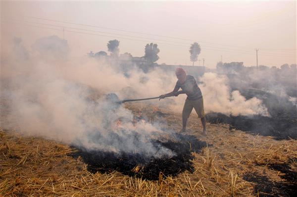 SC doing its part to deal with stubble burning, Centre and states have to do theirs: Delhi HC