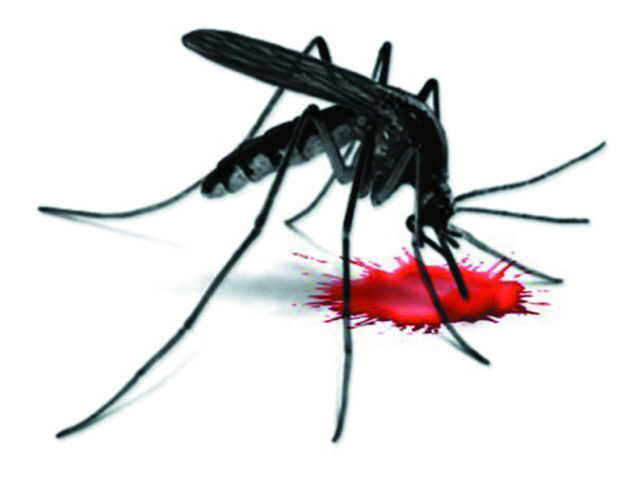 7-day-old baby tests positive for dengue at Jalandhar's PIMS