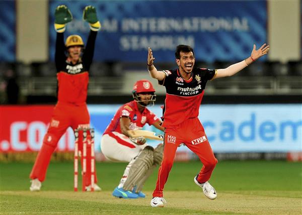Chahal reaping rewards of his quicker googlies in heavenly ‘UAE’