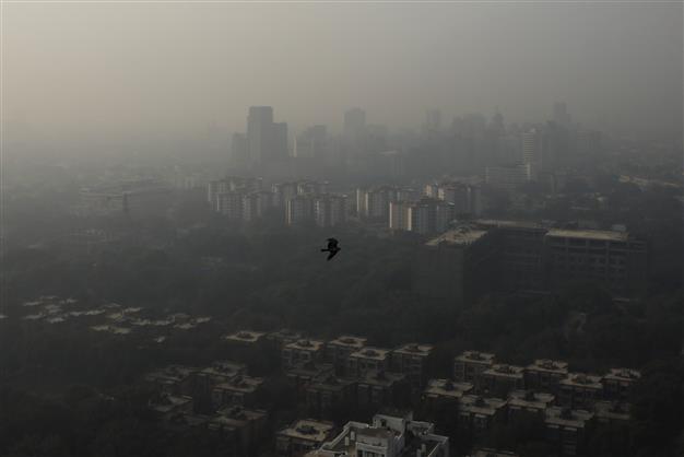 Delhi's air quality improves, but relief may be short-lived