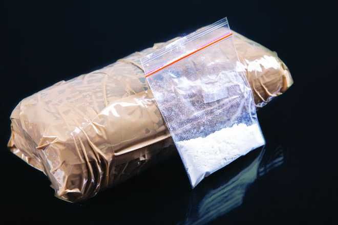 9.4-kg heroin seized from India-Pakistan border in Punjab's Ferozepur