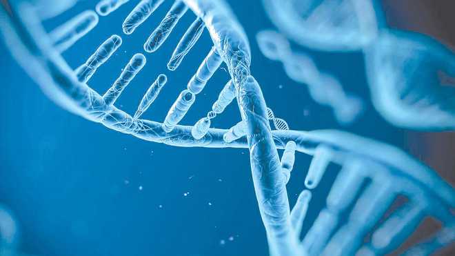 Gene mutation behind different COVID-19 death rates among Indian states, study finds