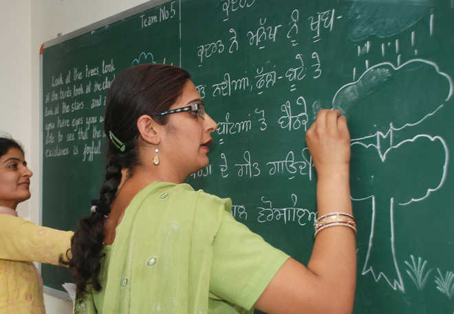 Punjab education dept exempts over 8,000 education providers in govt  schools from TET