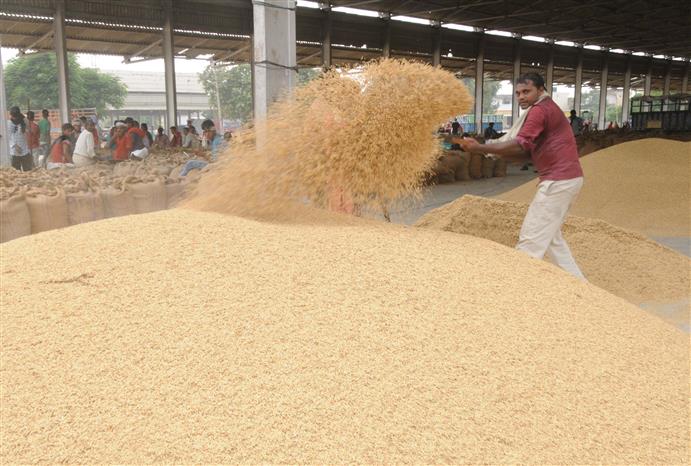Haryana ban on outside crops