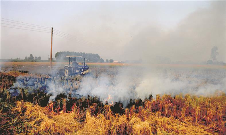 More farm fires due to early harvest: Experts