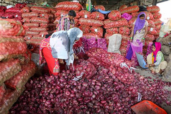 Export of onion seeds banned with immediate effect: DGFT notification