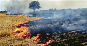 Haryana air quality dips as stubble fires shoot up