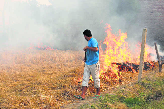Farm fires under scrutiny