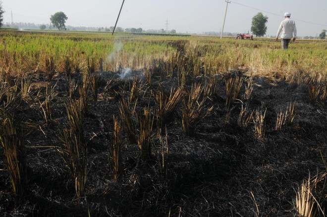 120 stubble-burning incidents in five days
