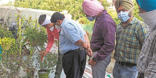 Health officials gear up as dengue cases see rapid rise in Patiala