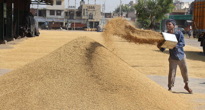 Paddy procurement touches record high of 83,000 MT