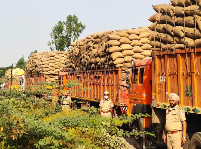 Crackdown on illegal transportation of paddy in Punjab