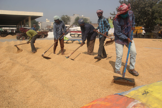 ‘Denied’ inter-state trade, rice millers go on strike