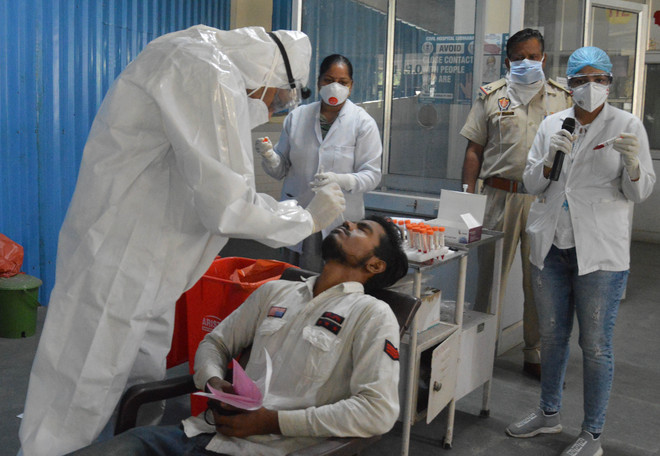 50 test positive in dist, no death reported in Ludhiana