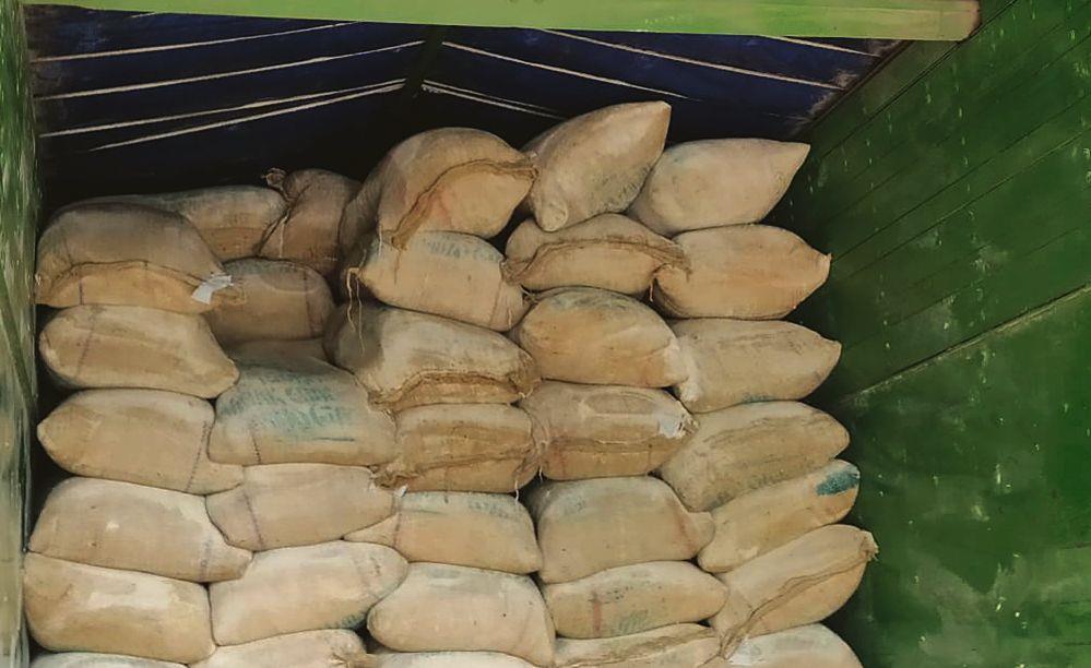 SAD, AAP seek probe into flour ‘dumping’