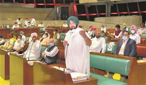 Punjab passes Bills to bypass Central farm laws
