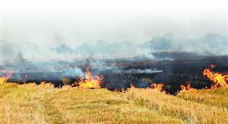 Officials stop farmers from burning stubble, assaulted in Karnal
