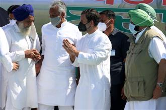 Capt Amarinder Singh endorses Rahul as PM face