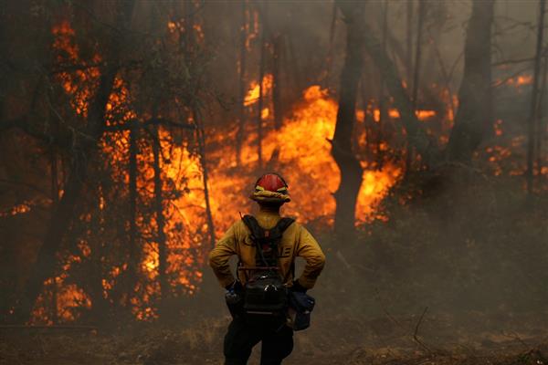 4,400 species globally facing threats from changes in wildfires