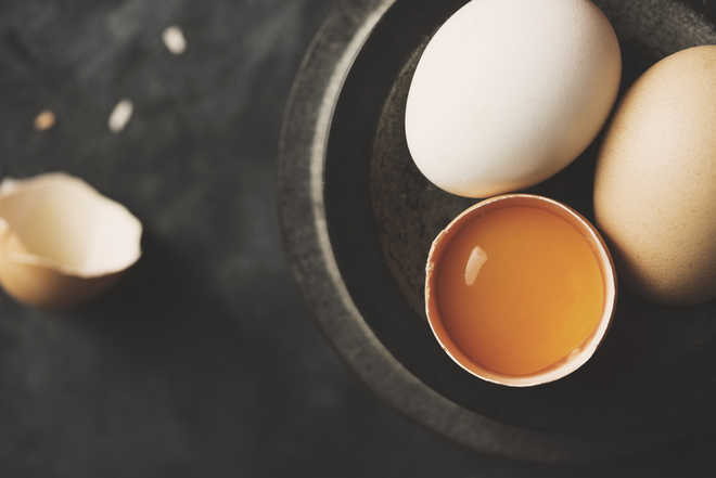 An egg a day can trigger diabetes too, warn researchers